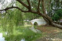 中央大學