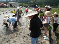 題陞自然農場(不再開放農事體驗活動)