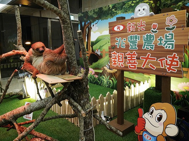 新光第34屆登高大賽熱身展(樹懶與浣熊為你加油！)(04/20-04/24)(已結束)