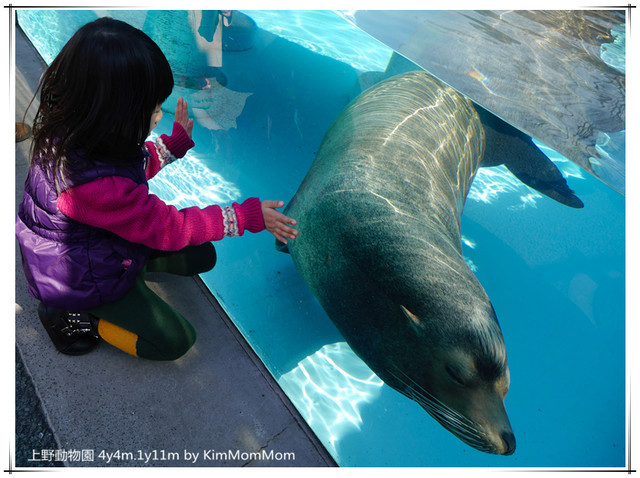 日本-東京-上野動物園 UENO ZOO