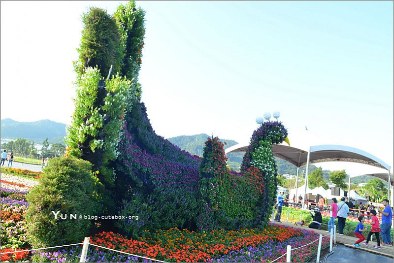 2016新社花海節(11/05-12/04)(結束營業)