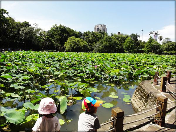台北植物園