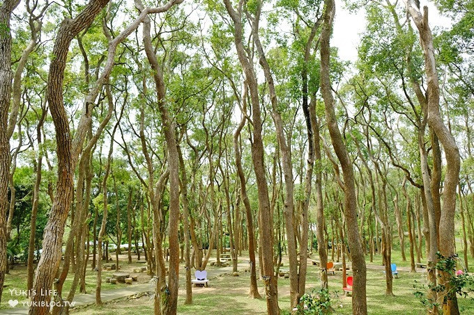 上田咖啡莊園