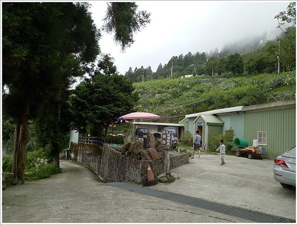 龍園網室果園