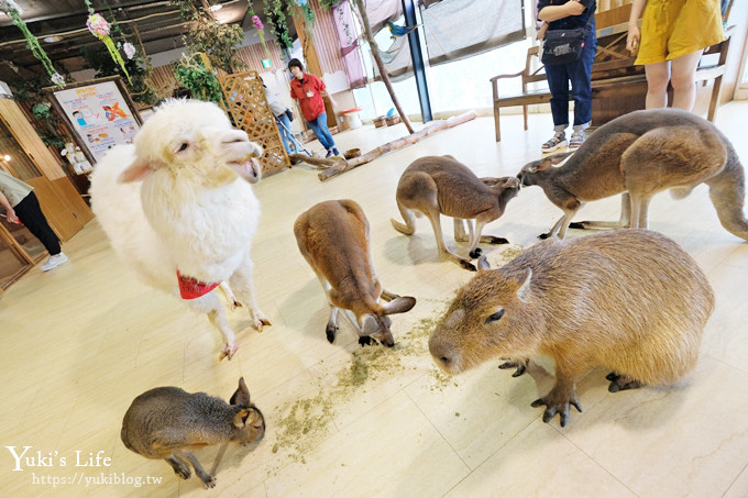 日本大阪-天保山動物園(天保山アニパ)