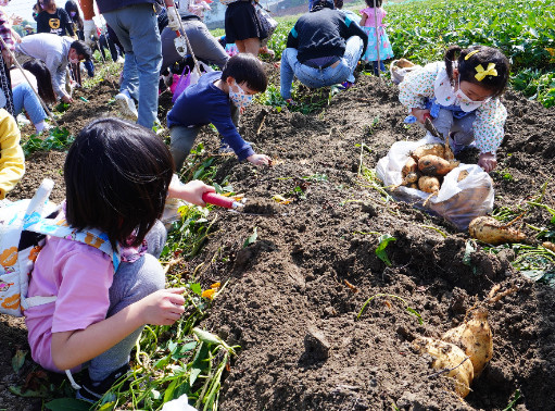 瓜瓜園觀光工廠-瓜瓜園地瓜生態故事館