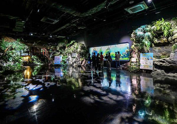 日本沖繩-DMM Kariyushi水族館@IIAS沖繩豐崎