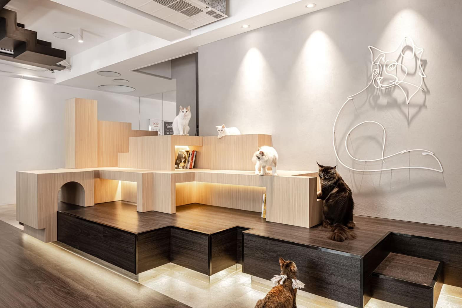 MEOW CAFE喵屋專業咖啡