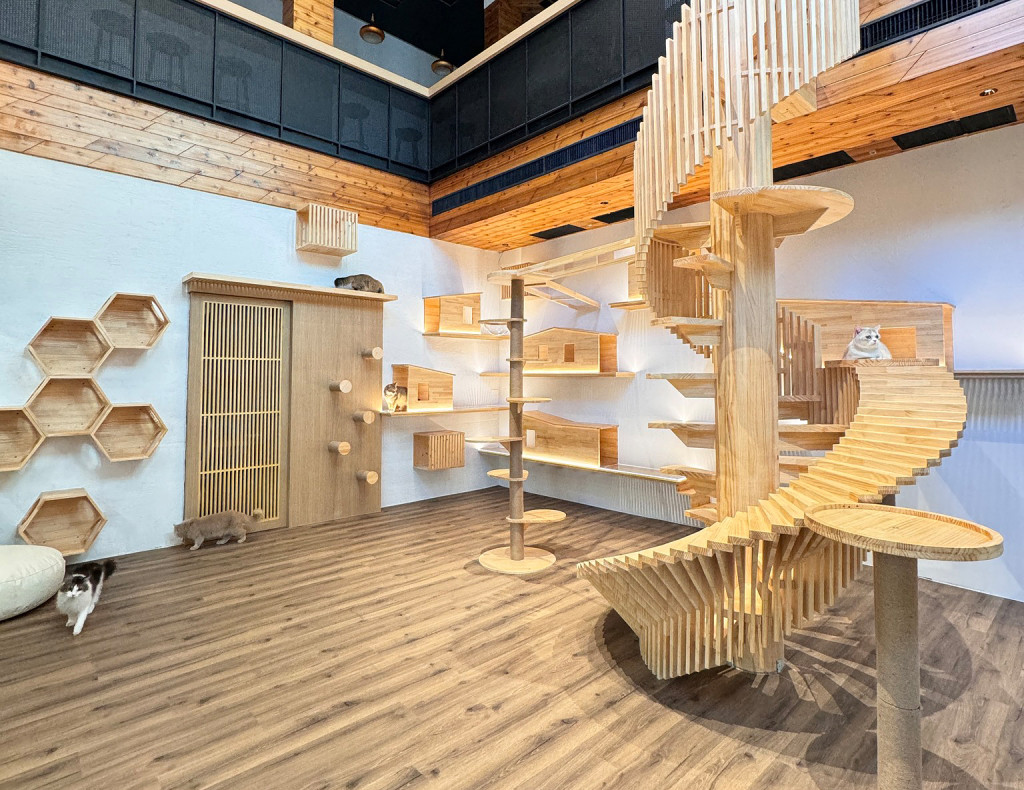 喵迷主題餐廳 品種貓認養空間(貓餐廳/貓咖啡)