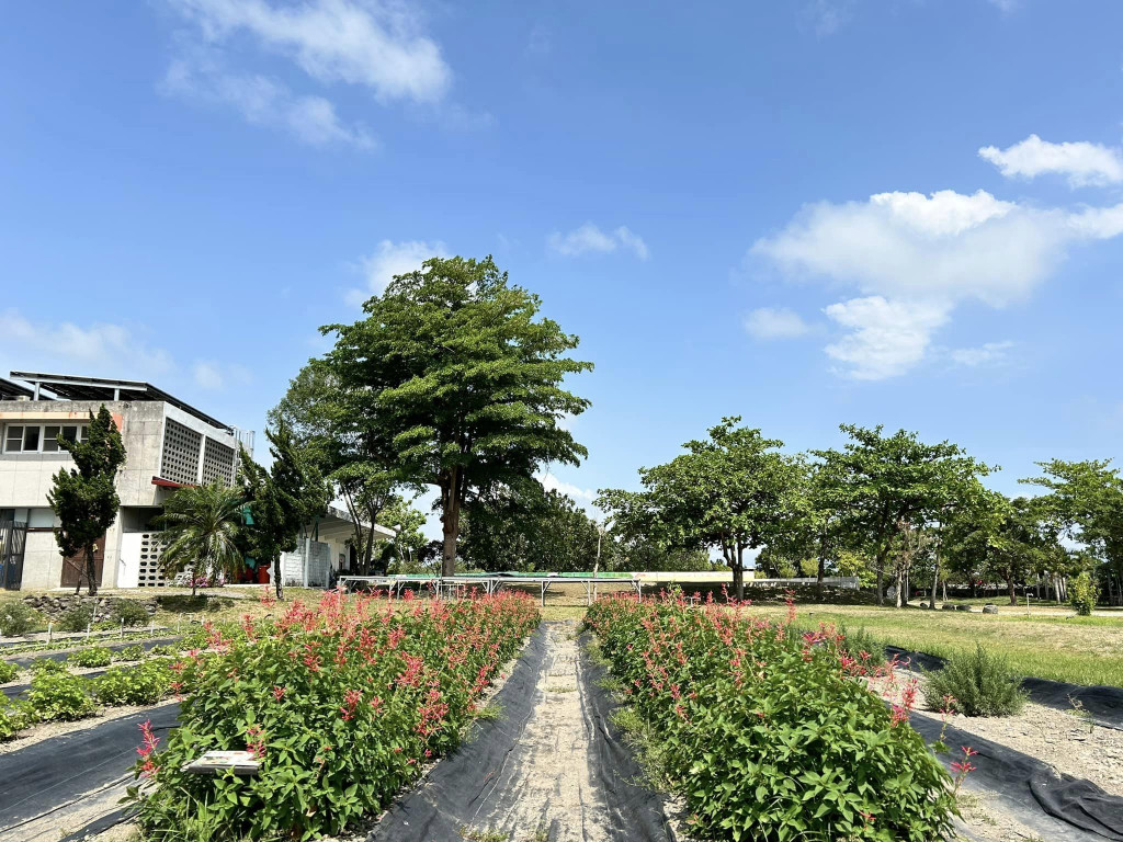 台東聖母健康農莊