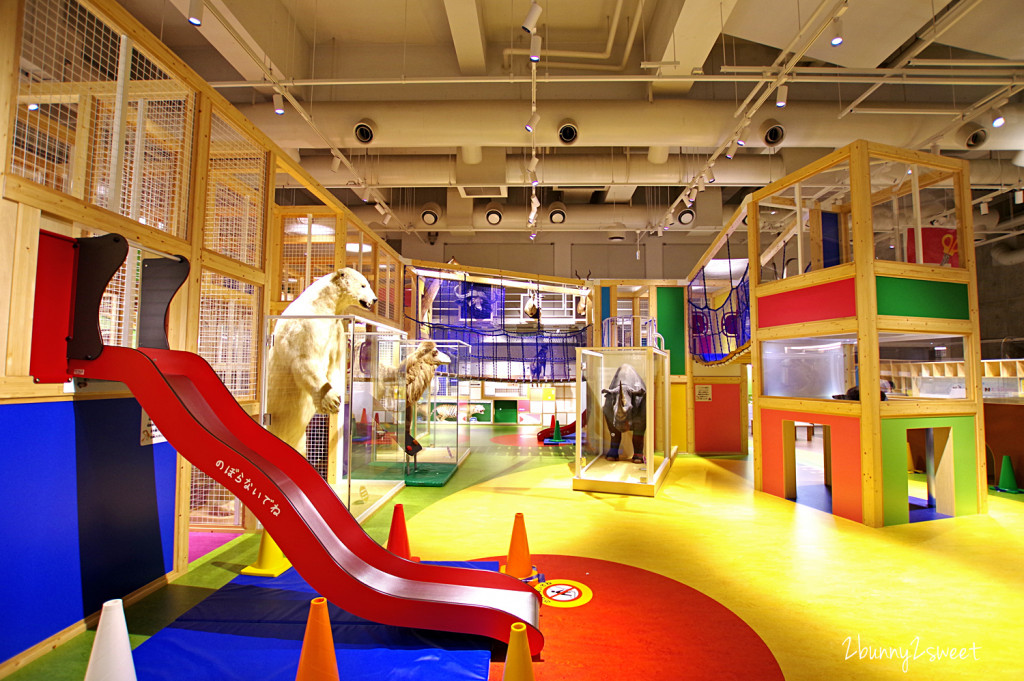 日本東京-國立科學博物館